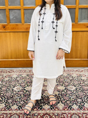2 piece Embroidered Suit